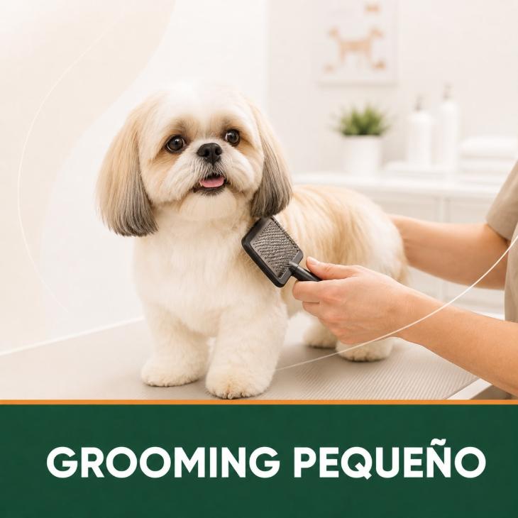 GROOMING RAZA PEQUEÑA
