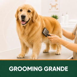 GROOMING COMPLETO RAZA GRANDE