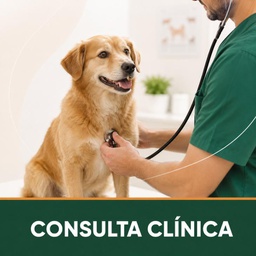 CONSULTA CLINICA